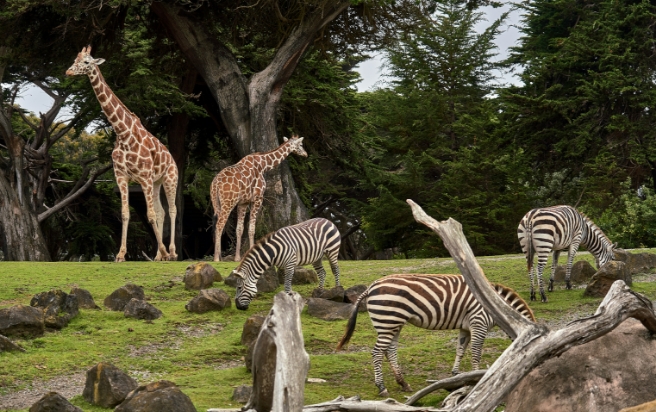 上野動物園